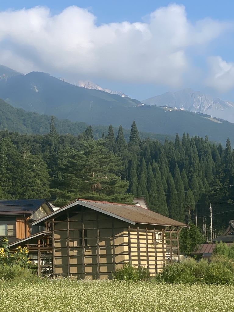 The Kura restoration project